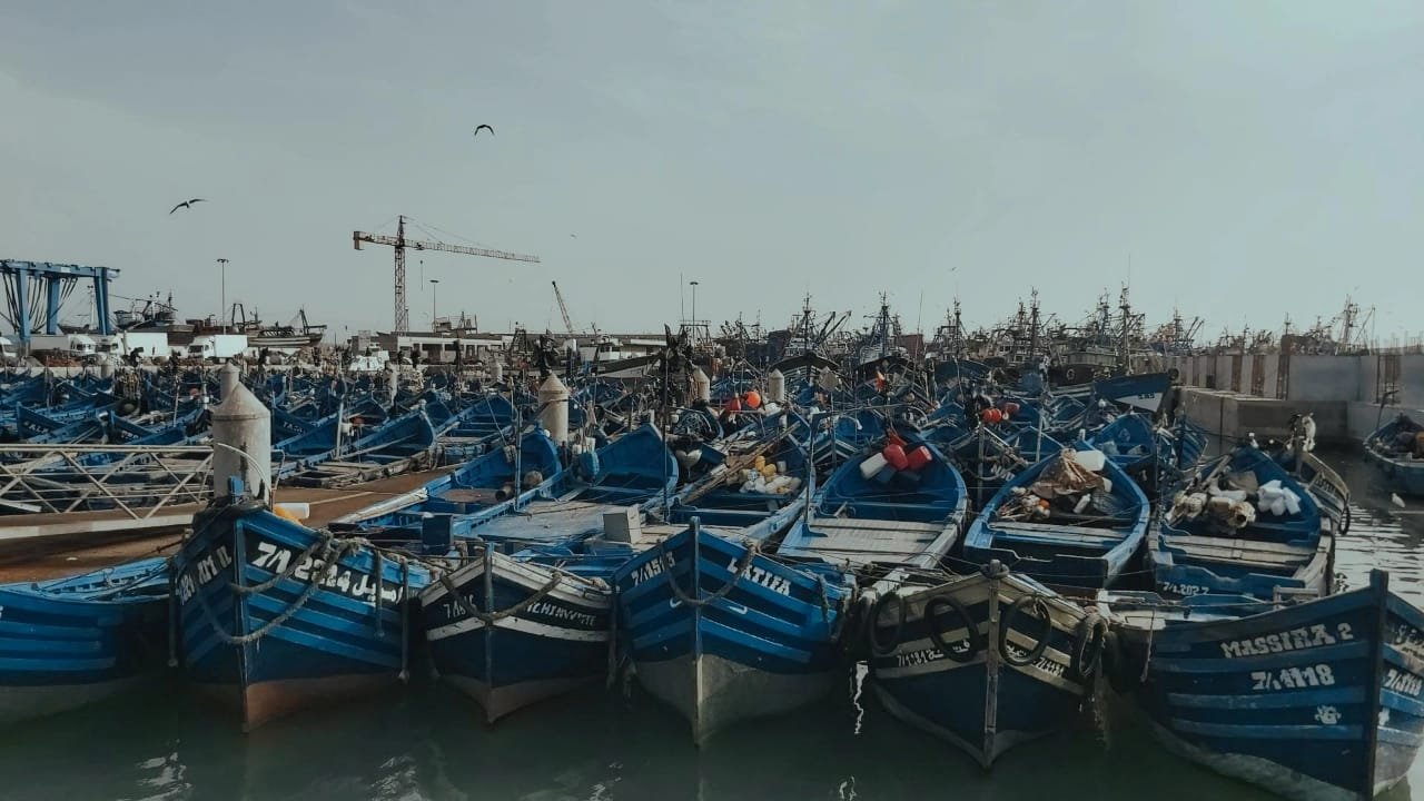 Essaouira Coastal